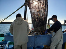 画像をギャラリービューアに読み込む, 【魚目利き職人】高級鮮魚セット|越紋商店