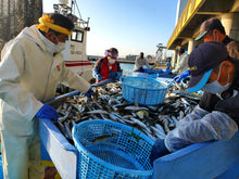 画像をギャラリービューアに読み込む, 【魚目利き職人】鮮魚セット|越紋商店