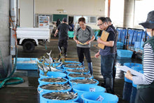 画像をギャラリービューアに読み込む, 【魚目利き職人】鮮魚セット|越紋商店