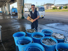 画像をギャラリービューアに読み込む, 【魚目利き職人】鮮魚セット|越紋商店