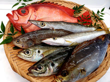 画像をギャラリービューアに読み込む, 【魚目利き職人】鮮魚セット|越紋商店