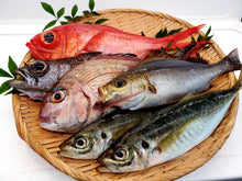 画像をギャラリービューアに読み込む, 【魚目利き職人】高級鮮魚セット|越紋商店