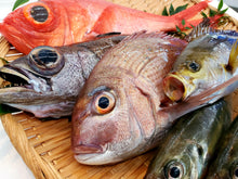 画像をギャラリービューアに読み込む, 【魚目利き職人】高級鮮魚セット|越紋商店